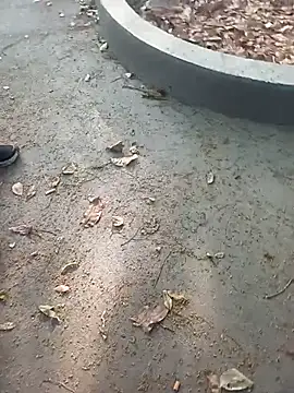 andresj22hotのウェブカメラショー