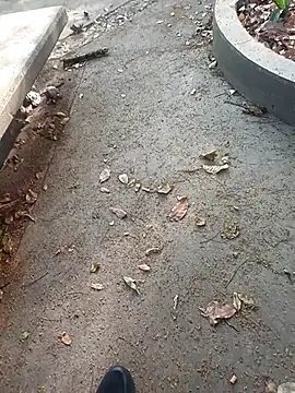 andresj22hot webcam show