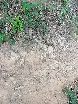 andresj22hot webkamerás műsora