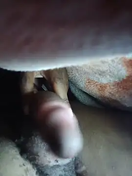MUHDIC Webcam-Show