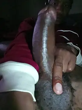 MUHDIC Webcam show