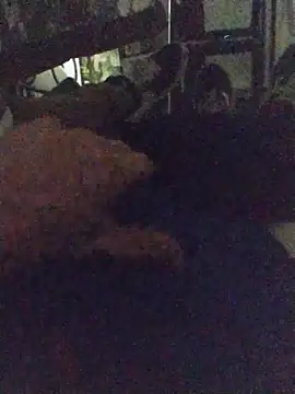That1HungGinger Webcam-Show