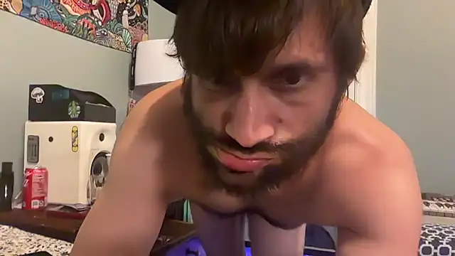 TrndSettr Webcam show