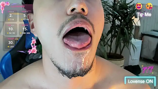 kai_stornのウェブカメラショー