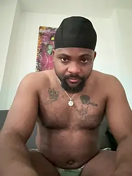 BigCatXLOfficialn Webbikameraesitys