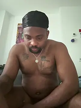 BigCatXLOfficialn Webbikameraesitys