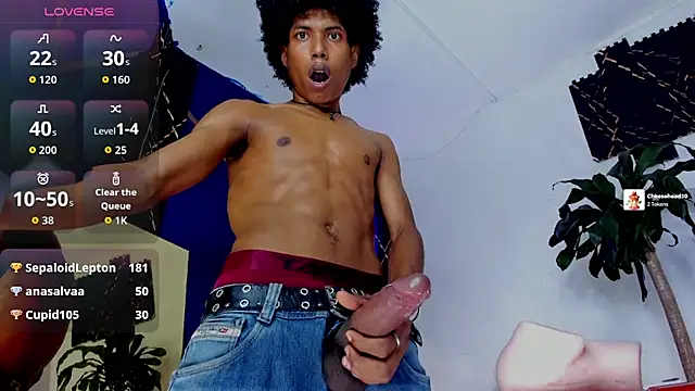 Show webcam de Walkers05