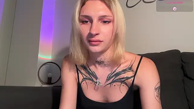 twl8vibe – Kamerová šou