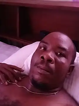 Prikev38452 Show in webcam