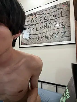nlxq_lln Webbikameraesitys
