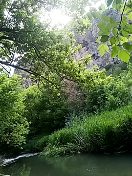 vgrr45534a Webcamshow