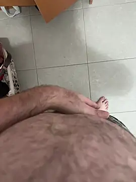 Tal3456n Webbikameraesitys