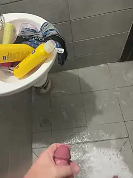Tal3456n Webbikameraesitys