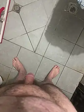 Show webcam de Tal3456