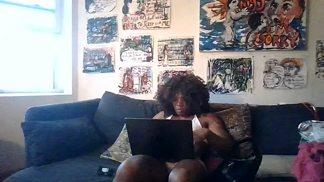 Show Webcam de frenchiego