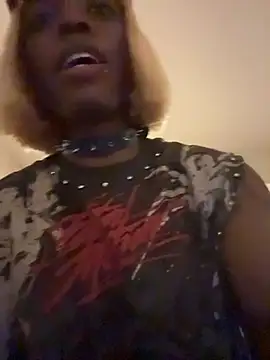 CookieAmonster Show Webcam