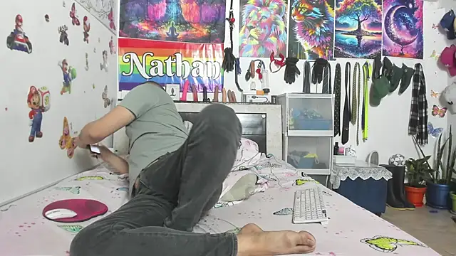 Show de webcam de nathannathaniel