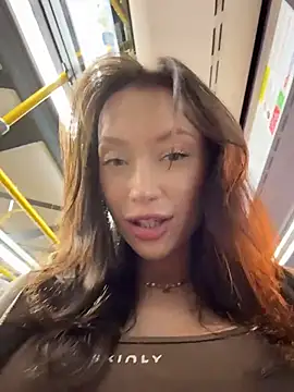 CityLynxn Webbikameraesitys