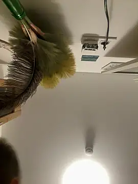 הופעת וובקאם של Sentinel801