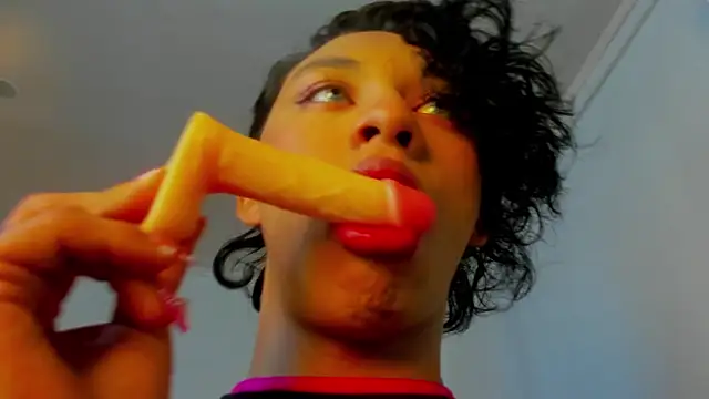 Sang_woo_Lee_のウェブカメラショー