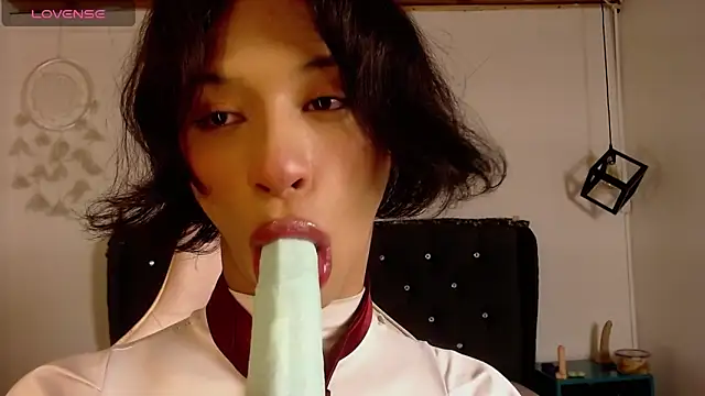 โชว์เว็บแคมของ Sang_woo_Lee_