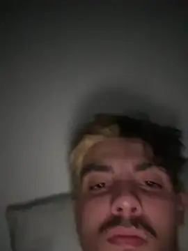 Show Webcam de bugballs1