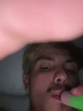Show Webcam de bugballs1