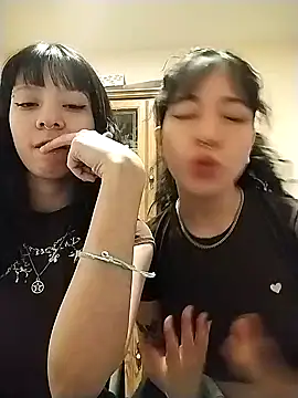 ludd_oon Webbikameraesitys