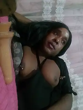 Show Webcam de Hellentrans24
