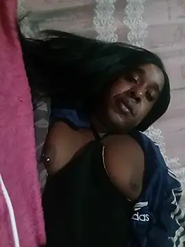 Show Webcam de Hellentrans24