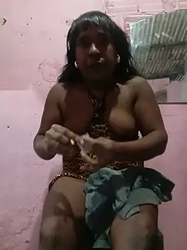 Show de webcam de Hellentrans24