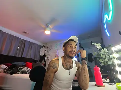 Show webcam de StillArQuez