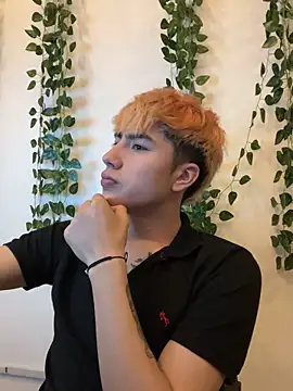 AlexanderCollman2 webcam show