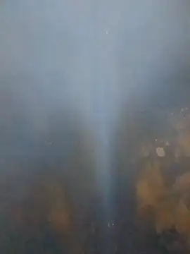 S7LEALTADPERVLIMA7's Webcam Show