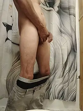lowhangingdick22 Webcam-Show