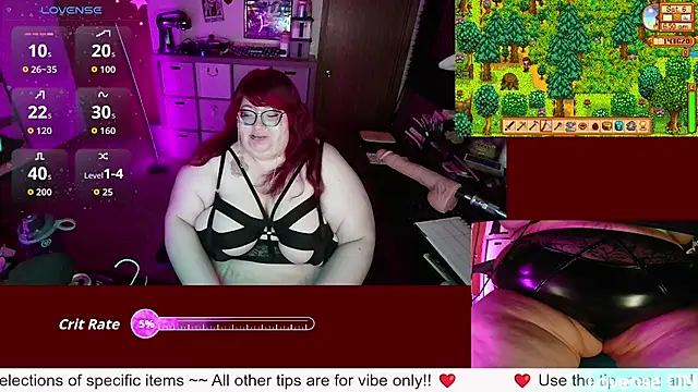 Show webcam de RileySynn