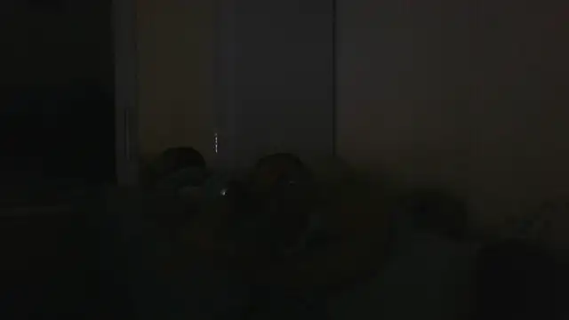 Show webcam de vitalik66679