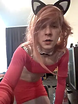 PinkyCAT19 网络视讯表演