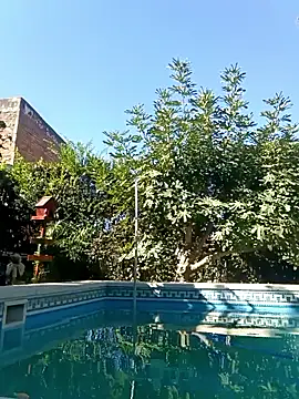 gordorichard Show Webcam