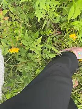 عرض كام xiaoxiaoaini520