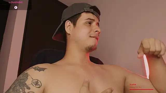عرض كام BjornSteel