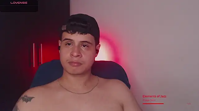 Show webcam de BjornSteel