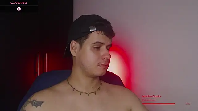 Show de webcam de BjornSteel