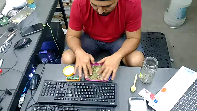 Show de webcam de BustedCall