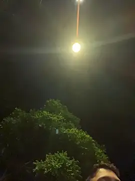 Gael_Velaryx Webcam Show