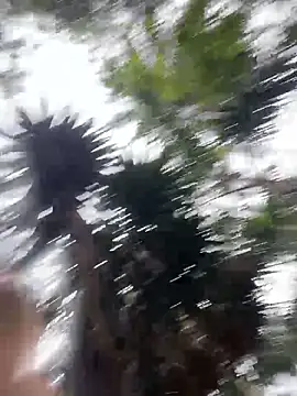 Gael_Velaryx Webcam-Show