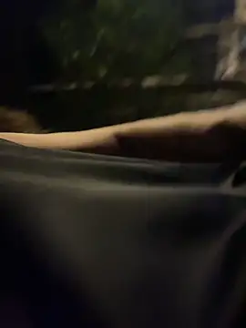 Gael_Velaryxn Webbikameraesitys