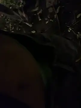 Pertunjukan Kamera Web Gael_Velaryx