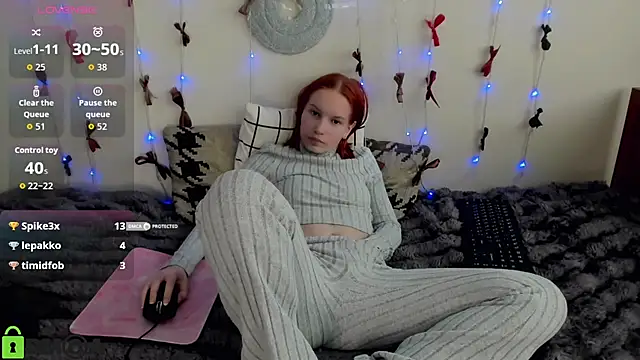 Show Webcam de Vedime