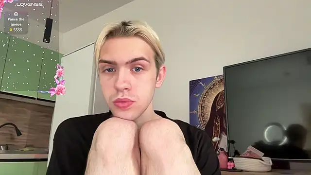 skibatryankan Webbikameraesitys
